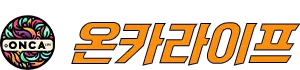 카지노사이트 온카라이프
