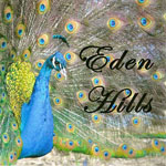 Eden Hills Eden Hills