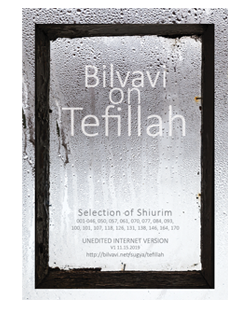 Bilvavi on Tefillah Selection