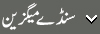 میگزین