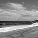 VFS_1416bw