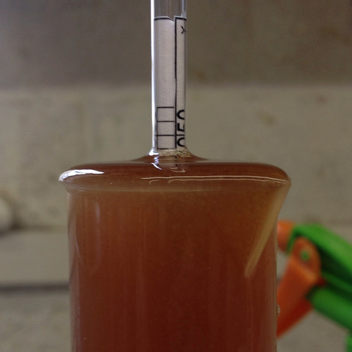 AG#128 - Belgian Hop Burst, 1051.5 going for 1048.