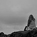 VFS_3205bw