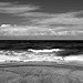 VFS_1412bw