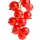 Ribes Rosso