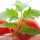 Pomodoro