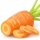 Carota
