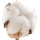 Fiore di Cotone