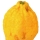 Cedro