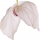 Dove Tree (Davidia Involucrata)