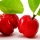 Acerola