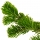Balsamo Canadese