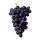 Σταφύλια Pinot Noir 