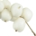 Μούρο Snowberry