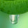 Green Sap