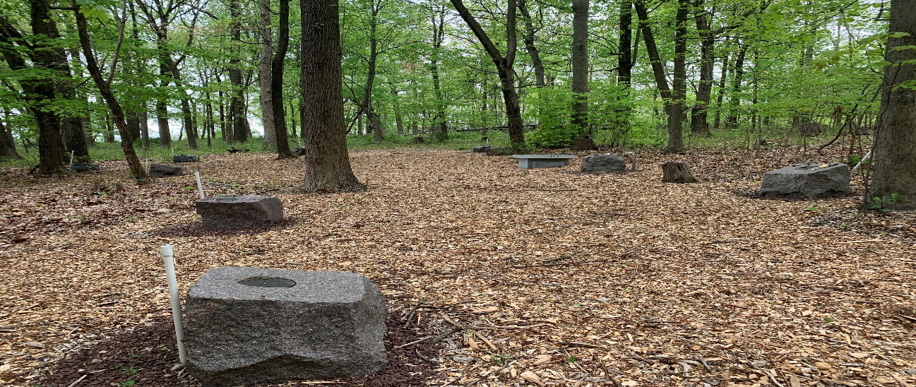 Forest View 1