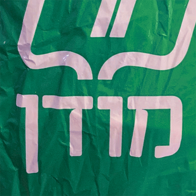 raanan002