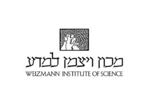 logo11