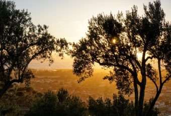 A simple reminder: openness