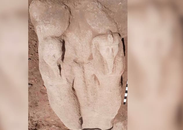 Partial statue of Ramesses II ("Ramesses the Great") discovered at Tel Faraon, Egypt, April 23, 2026.