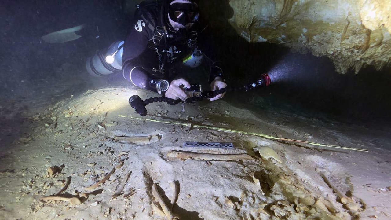 Human skeleton from a flooded cave along Mexico’s Caribbean coast.