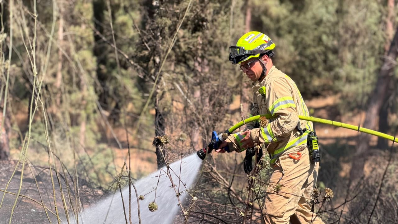 Firefighter works to extinguish the flames after a wildfire broke out in Samaria on July 18.
