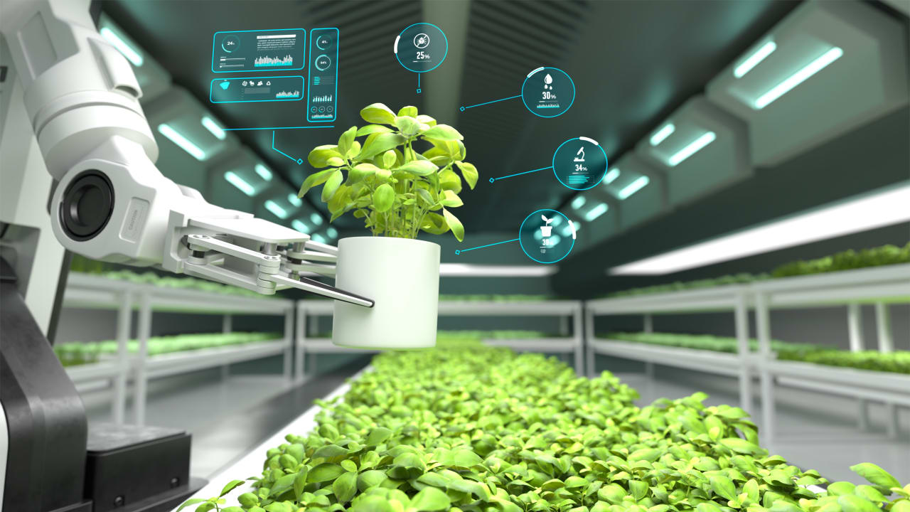 Robotic arm lifting vegetable pot with digital display, Automated farming. 3D illustration