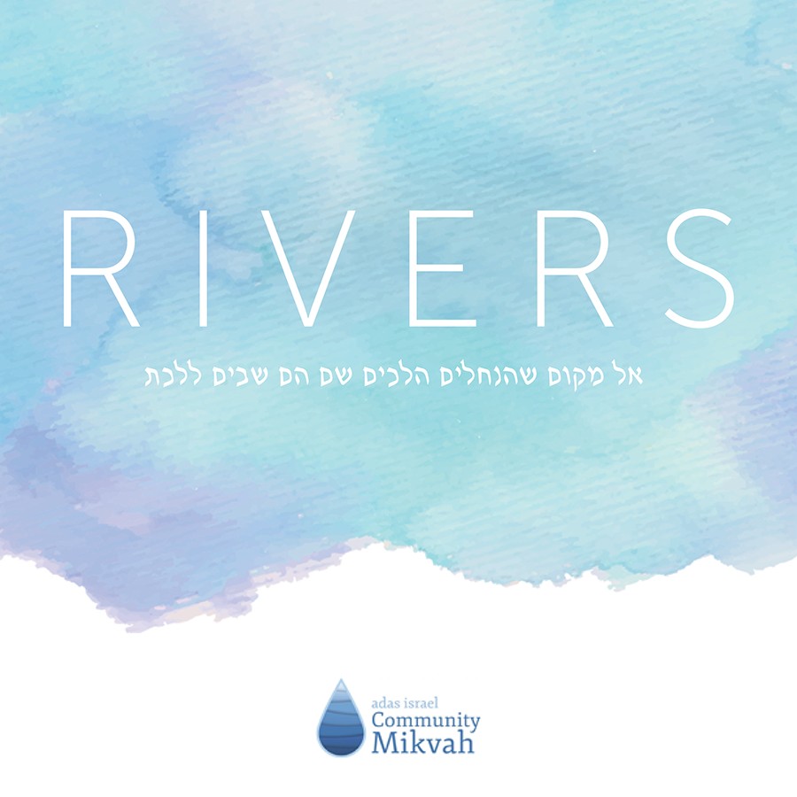 Mikvah brochure cover