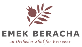 Logo for Congregation Emek Beracha