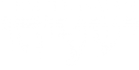 Logo for Temple Isaiah