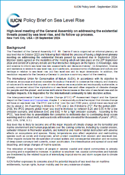 Cover page of the policy brief