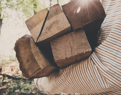 How A Felled Tree Reminded Me to Let Go