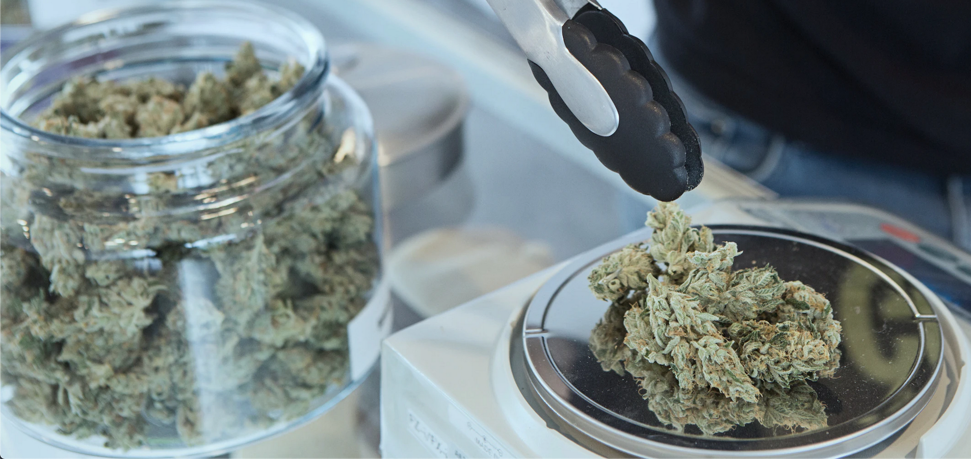 What is the Torah View of Marijuana Use?