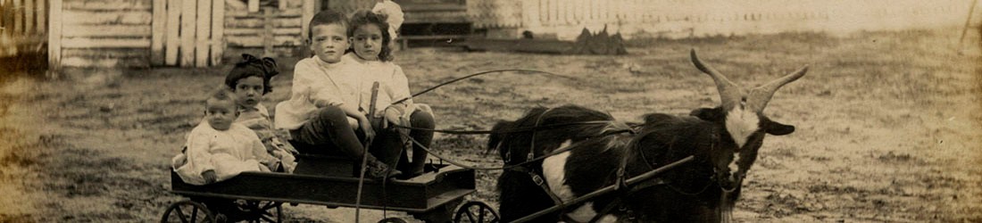 GoatCart