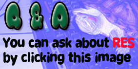 Q & A