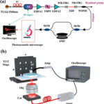 Grüneisen-relaxation photoacoustic microscopy at 1.7 µm and its application in lipid imaging.