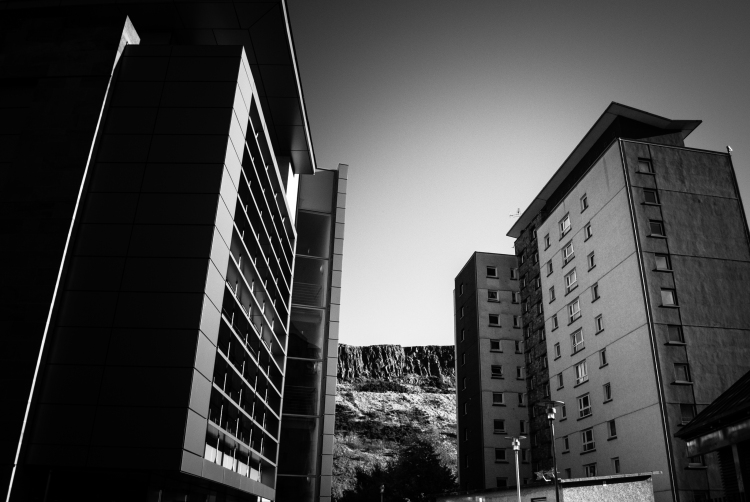 DSC_1966