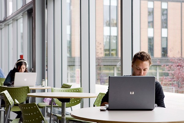 Two students seated at tables beside windows working on laptops