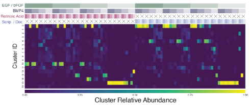 sample-cluster