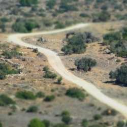 מטיילים בארץ: הכל על שביל ישראל