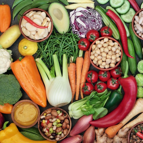Plant-Based Diets