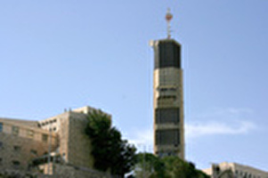 טבעונות בהר הצופים