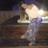 lior_shmaya