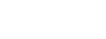 ppi logo white
