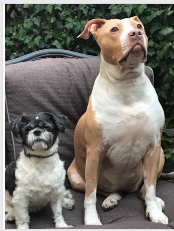 OscarNLayla