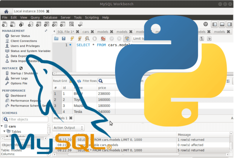 עבודה עם פייתון במסד נתונים mySQL