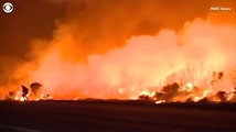 Man pulls over on highway to save rabbit from raging wildfire
