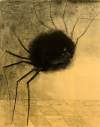 redon_smiling-spider
