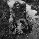 arthur_tress_13