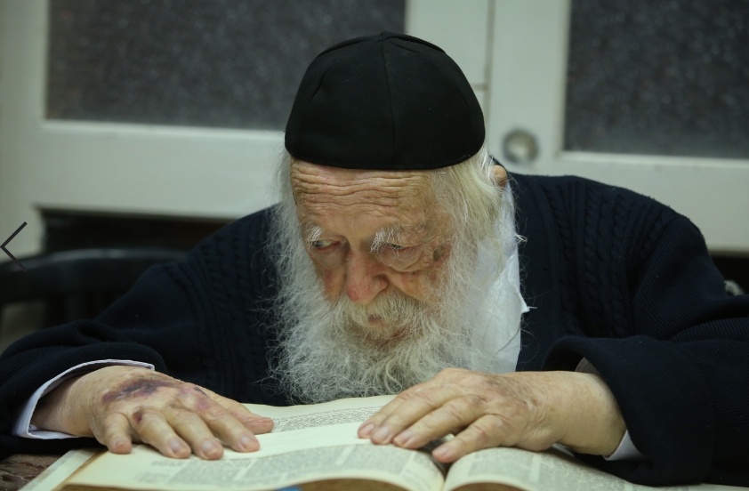 (צילום: פלאש 90)